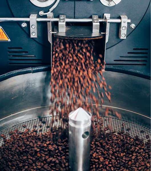 Person cleaning or processing cocoa