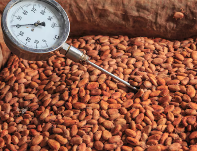 Sustainable Processing Practices