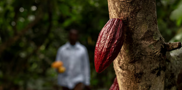 Sustainability Spotlight
