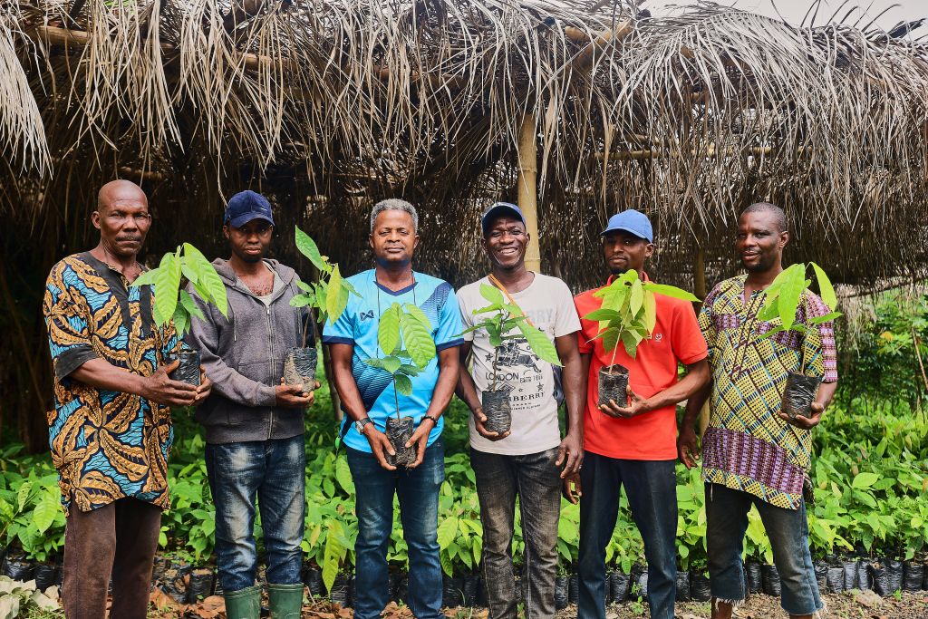 Community and Partnerships